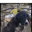  , --, 58  -  7  2024    