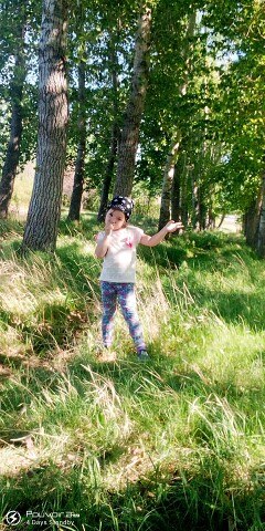 ���� ���������, ������, 40 ��� - ��������� 26 ������ 2024