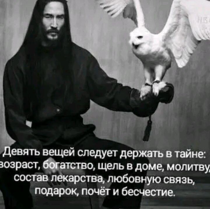 ***Victoria Viktorovna*** - 19  2024  15:05