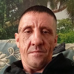 ������, �������, 46 ���