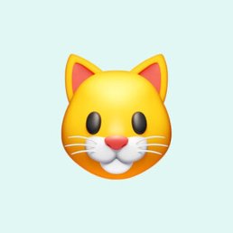 �������, �����, 38 ���