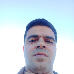 , 34, 