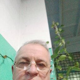 ���� �����, ����������, 61 ��� - ��������� 14 ������ 2026