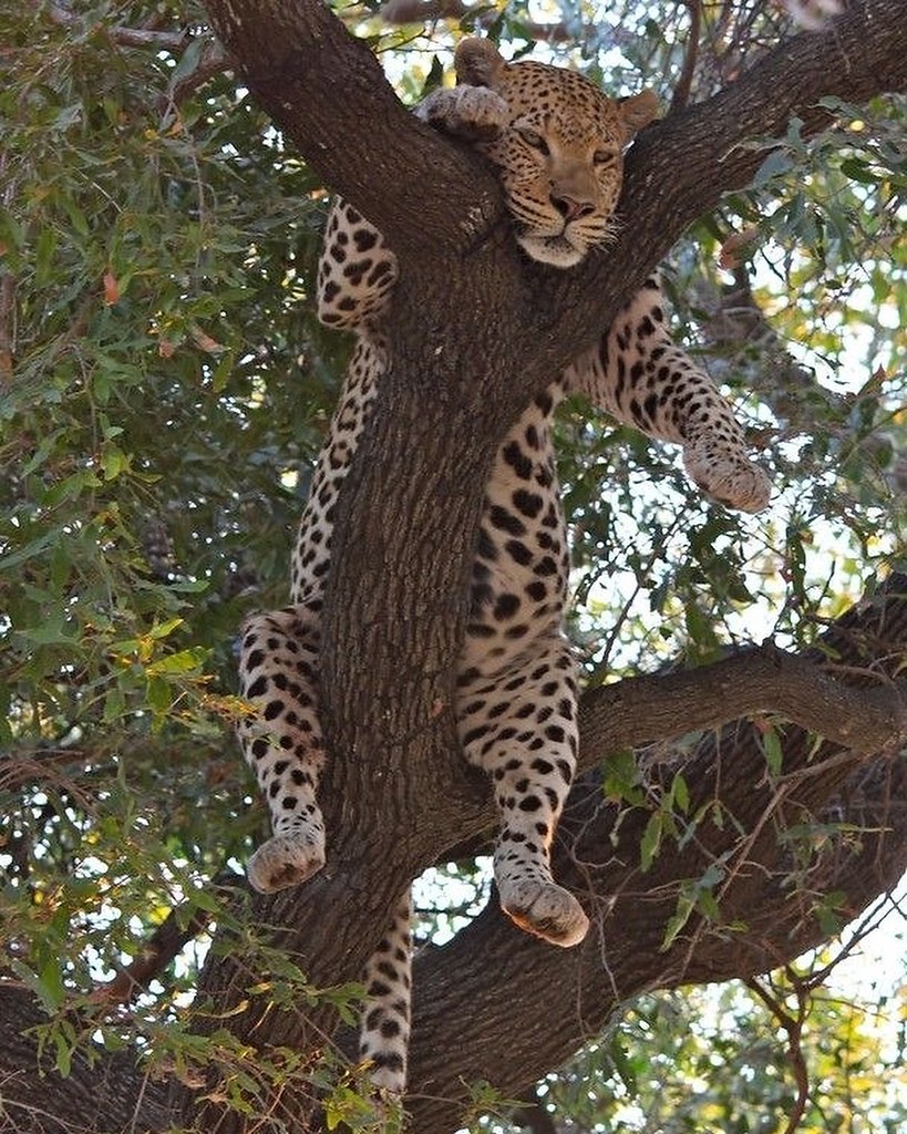     ,    .       ... - 3