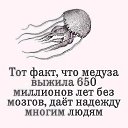 ���� �����, ������ - ��������� 13 ������ 2024 � ������ ���� ����������