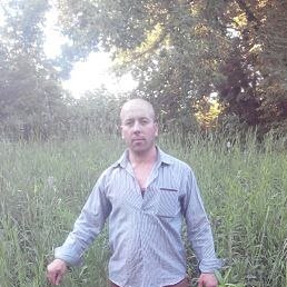 �����, ������, 45 ���