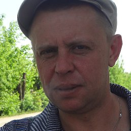 �����, ����������, 46 ���