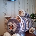 ���� �����, ������ ��������, 63 ���� - ��������� 24 ������� 2025