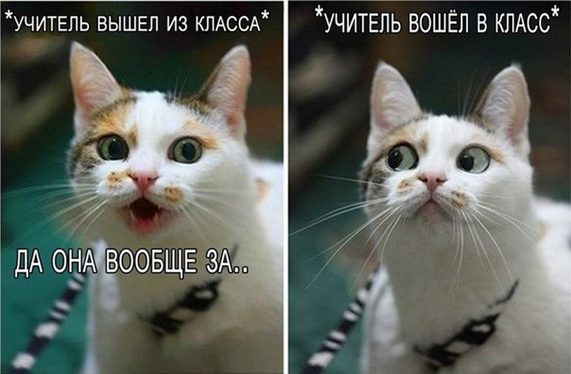 ? ,  ! - 14  2025  22:47