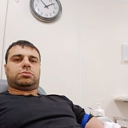 �����, 38 ���, ���������