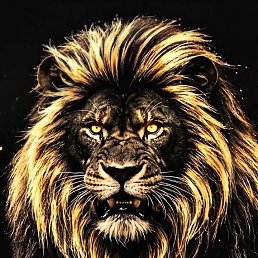 ���� �����, ������, 43 ���� - ��������� 9 ������� 2026