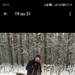, 29, 