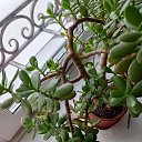 ���� ����, ������, 70 ��� - ��������� 20 ������� 2025 � ������ ���� ����������