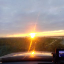 ���������, ����, 60 ���