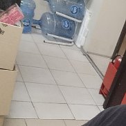 �����, 44 ����, �����������