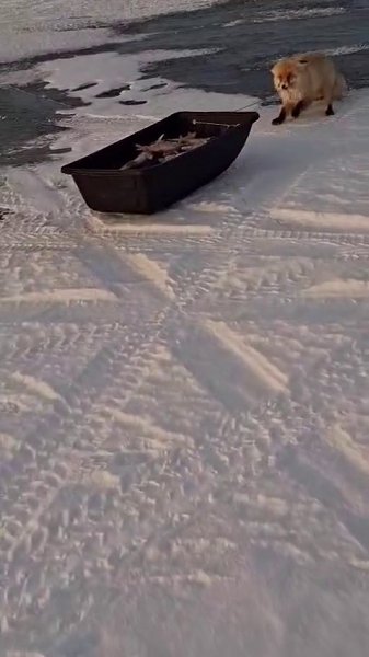 ������� � ���������� ���� �� ����������� �������� ��� �������. ����������, ��� �������� ��������� �� ...