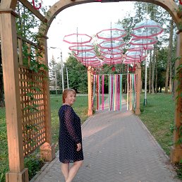 , 53,  