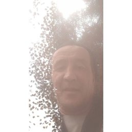 ����, ���������, 46 ���