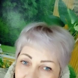 , 66, 