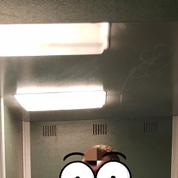 , , 43 