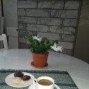 ���� �������, ������ - ��������� 26 ����� 2025 � ������ ���� ����������