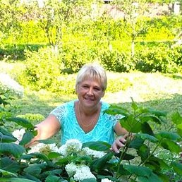 �����, �����-���������