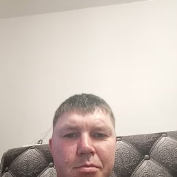 , 41, 
