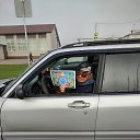 ���� ���������, ��������, 38 ��� - ��������� 27 ������ 2026 � ������ ���� ����������