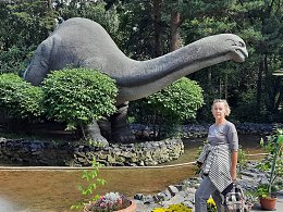 �����������