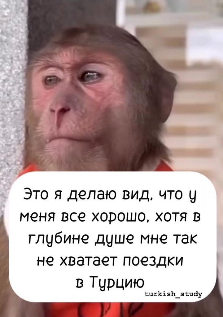  - 16  2025  09:59