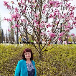 ���� ���������, ���������, 66 ��� - ��������� 19 ������� 2023