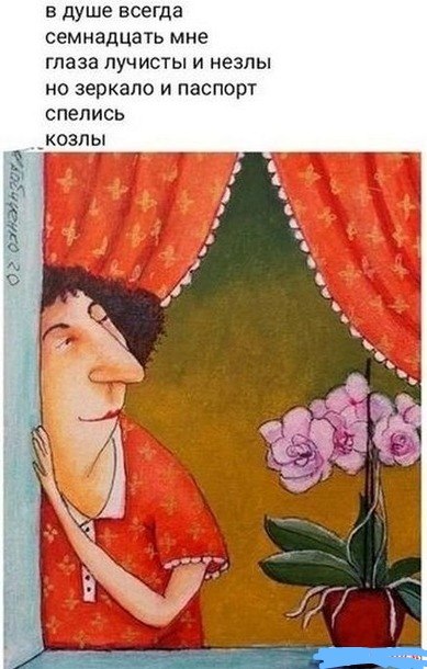   - 7  2024  00:41