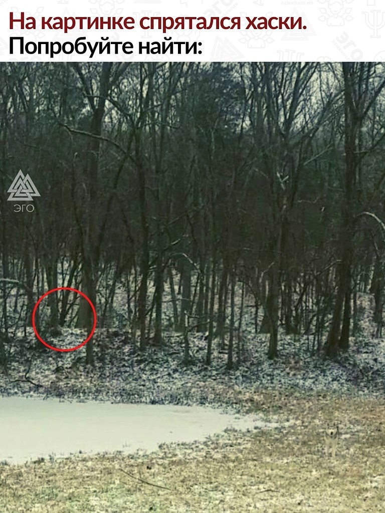 ������������ ��� ����� ������� �������� �� ��������. ������� � ���������