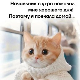  ,  , 45  -  24  2025