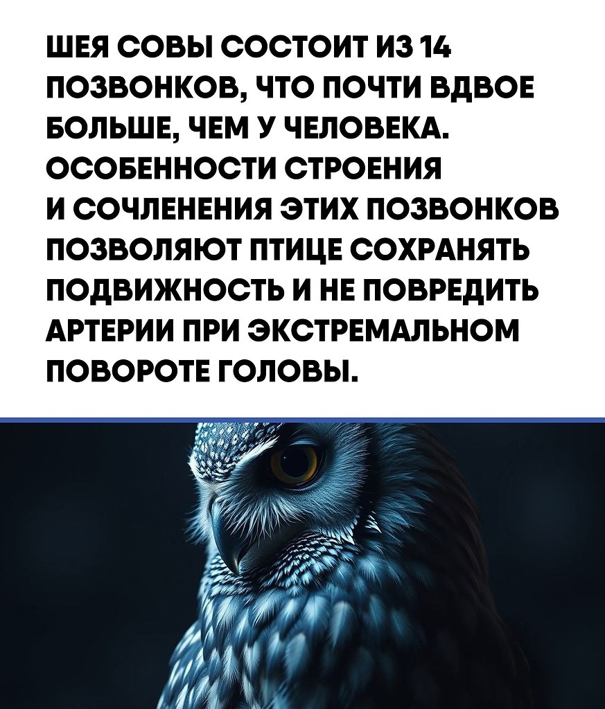  |  |   5 - 27  2025  14:55 - 2