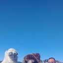 ���� �����, ����� �������, 46 ��� - ��������� 5 ������� 2025