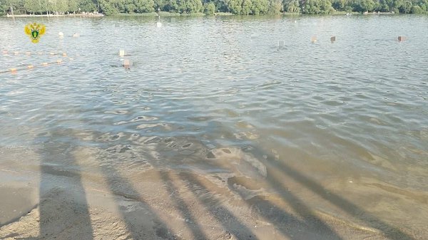 В пруду на западе Москвы утонила 12-летняя девочка. Трагедия случилась в Солнцево, когда девочка и ...