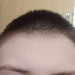 , 17, 