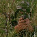 ���� Ostap, ������, 40 ��� - ��������� 27 ������� 2024