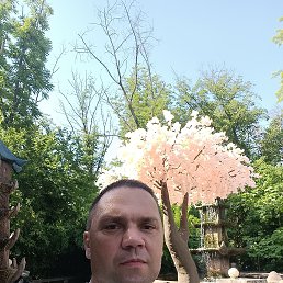 , 44, 