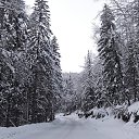 ���� �����, ������������ - ��������� 18 ������ 2024 � ������ ������ ��������