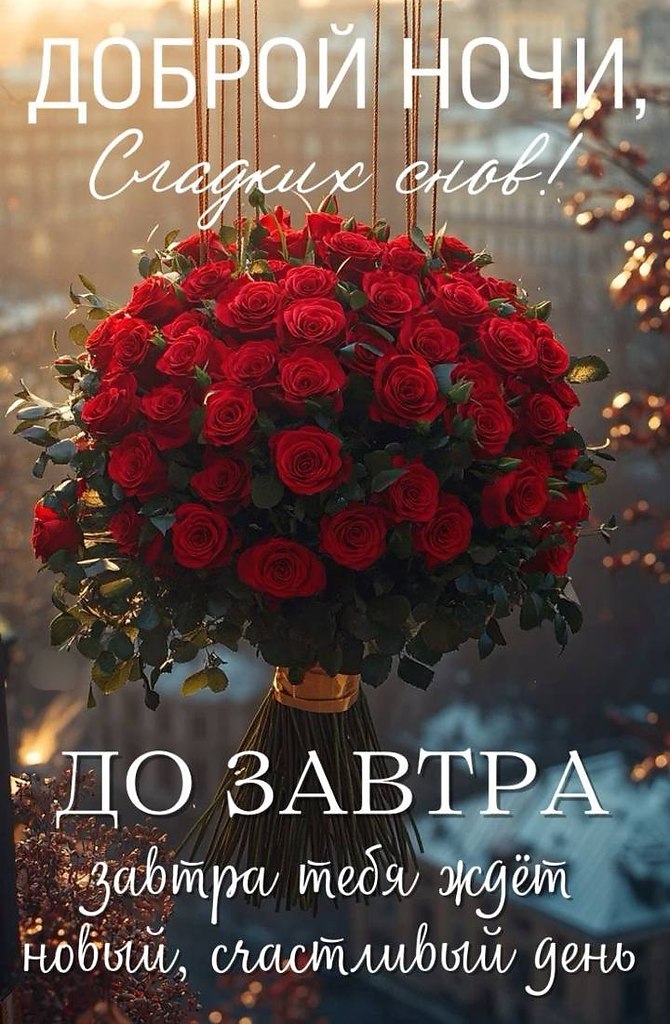   ,    . - 23  2025  19:21