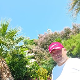 , 44 , -