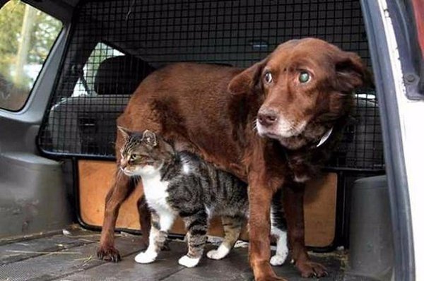 ����� ����� ��������� ��� ������� ���. ����� � ������ ���� �������� ���� � ������, ������ ��������� ... - 4