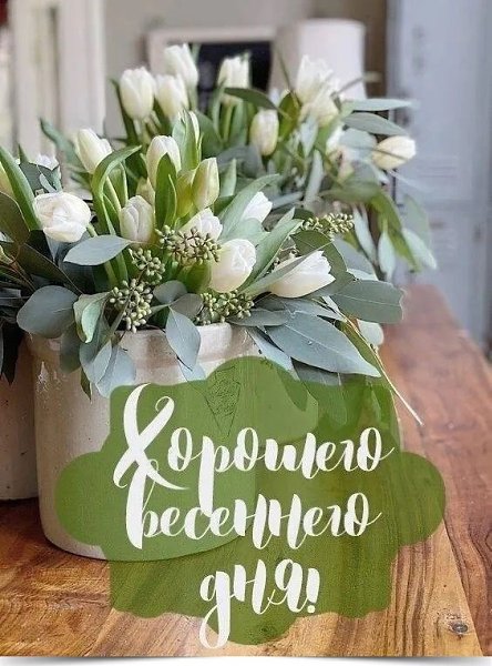 Доброе утро!. А у весны закон неписаный - всех разбудить! Она несёт святую миссию - любить и жить! ...