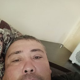 , 43, 