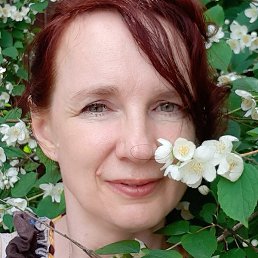 �����, ������, 52 ����