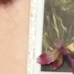 �������, ������, 54 ����