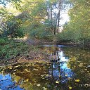 ���� �����, �����, 56 ��� - ��������� 23 ������� 2025 � ������ ������ ��������