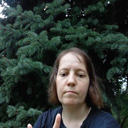 , 41 , 